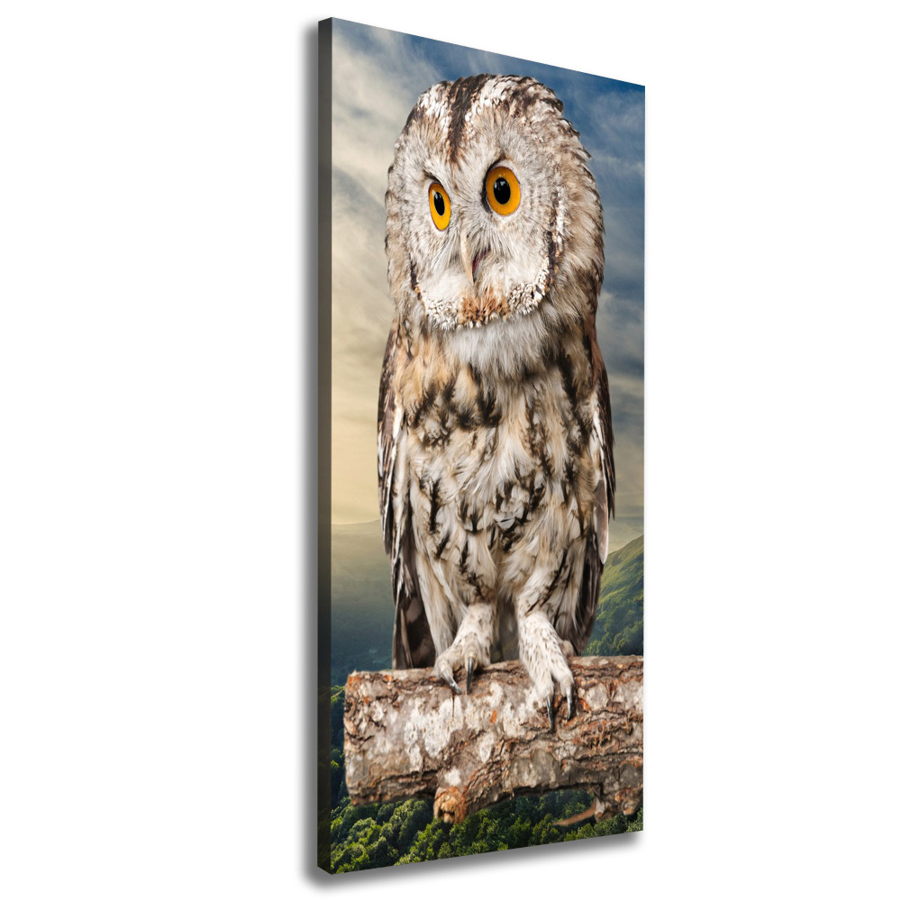 Canvas wall art Owl on the hill