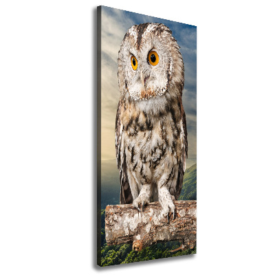 Canvas wall art Owl on the hill