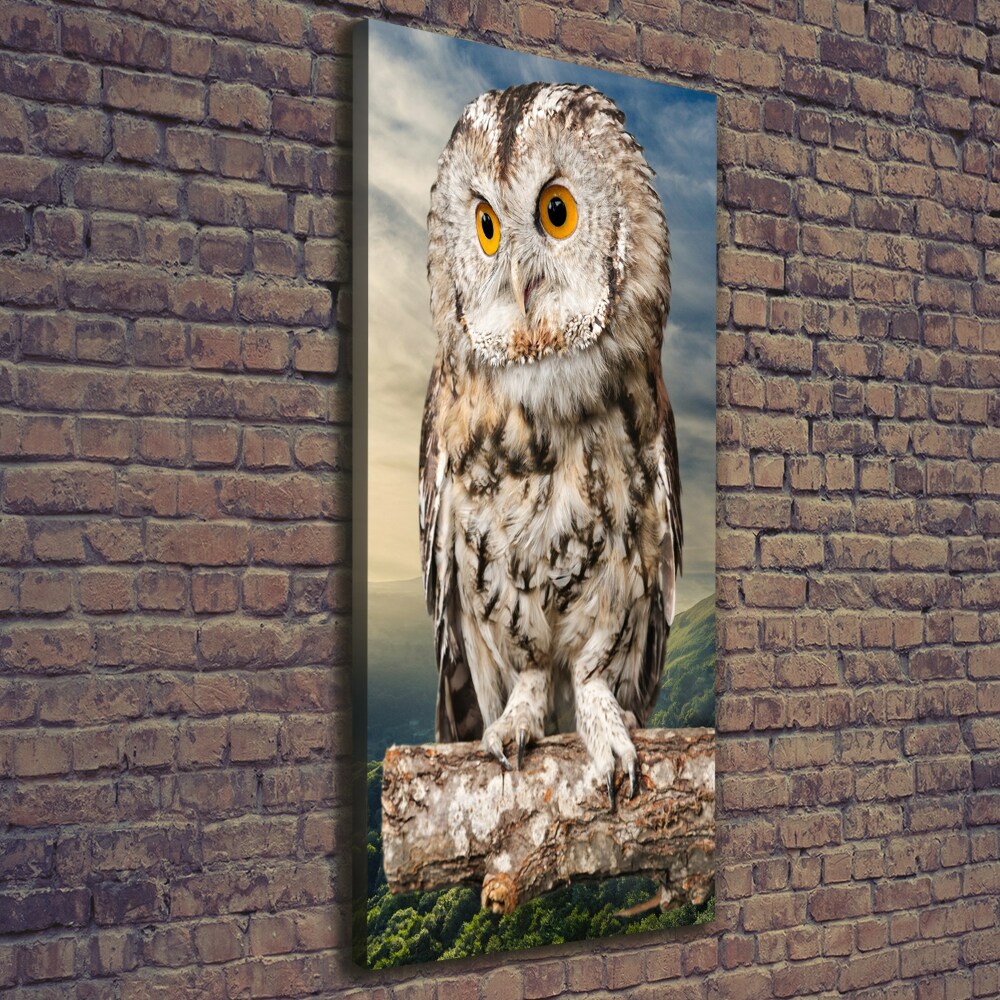 Canvas wall art Owl on the hill