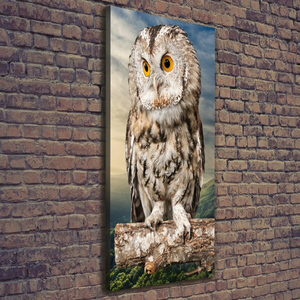 Canvas wall art Owl on the hill