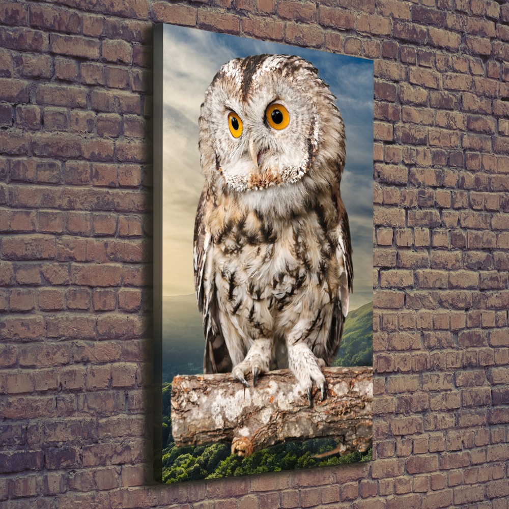 Canvas wall art Owl on the hill