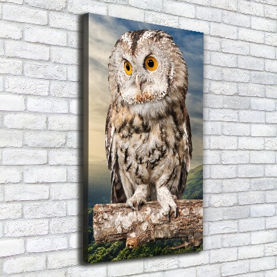 Canvas wall art Owl on the hill