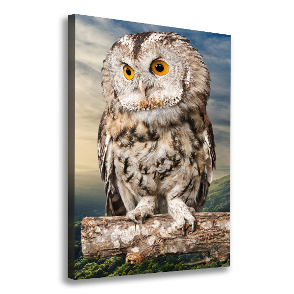 Canvas wall art Owl on the hill