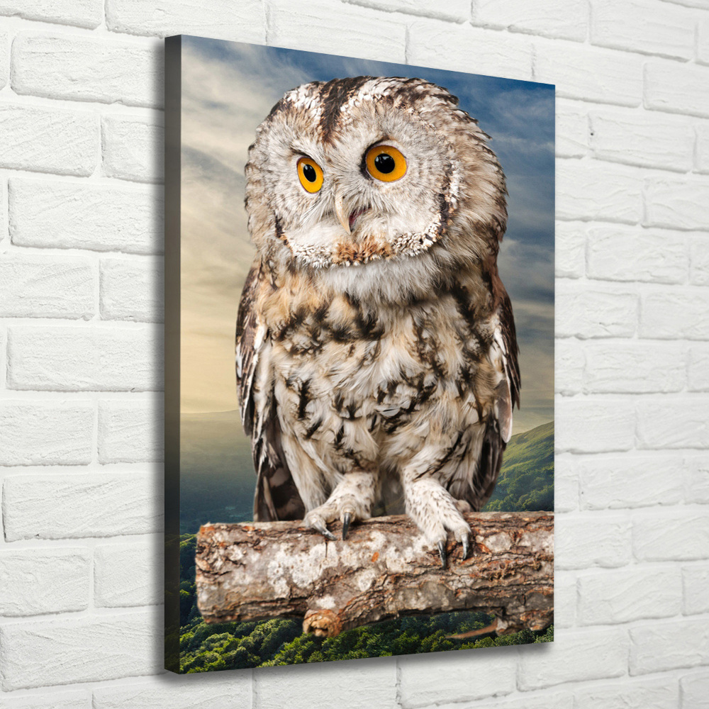 Canvas wall art Owl on the hill