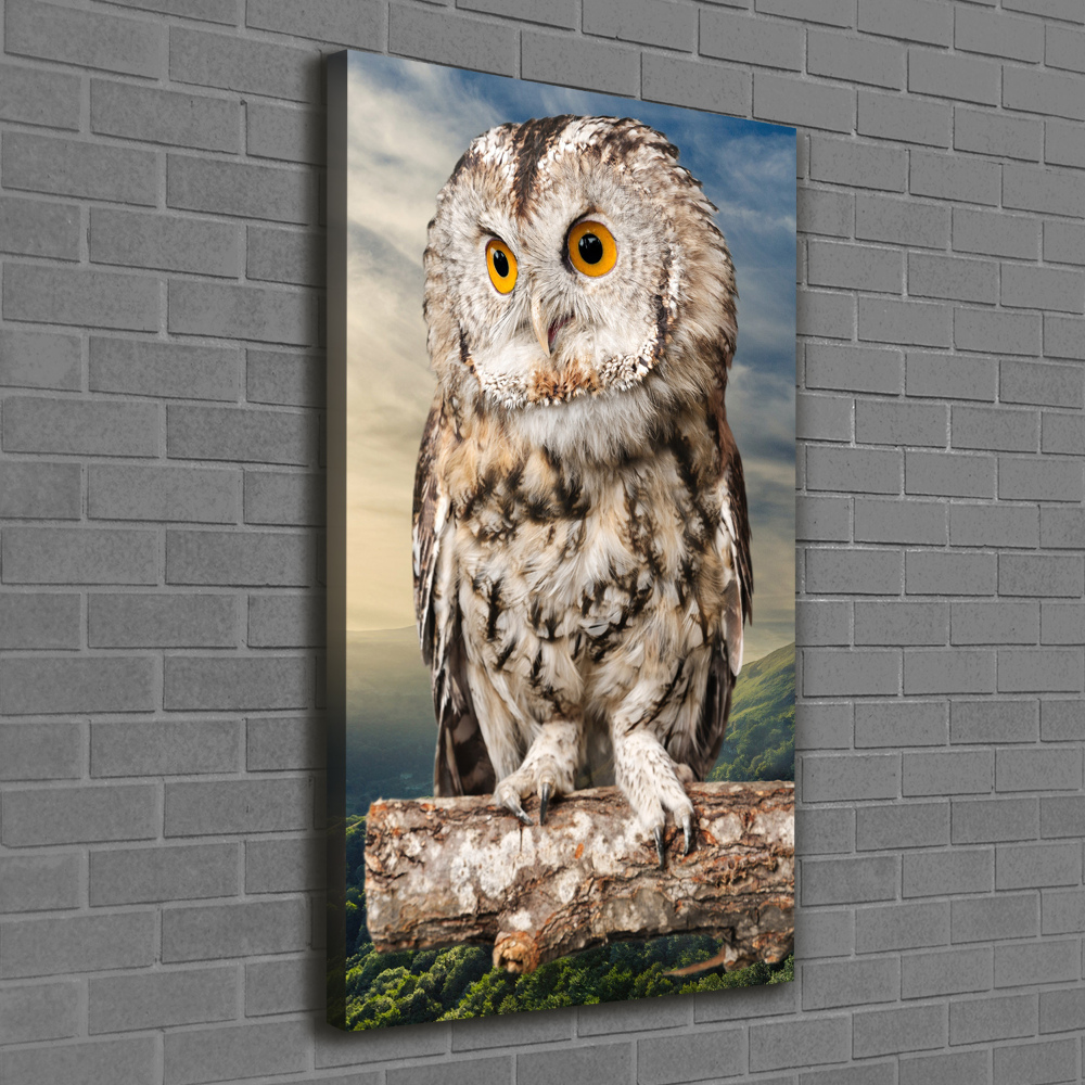 Canvas wall art Owl on the hill