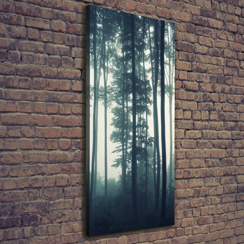 Large canvas wall art Fog in the forest