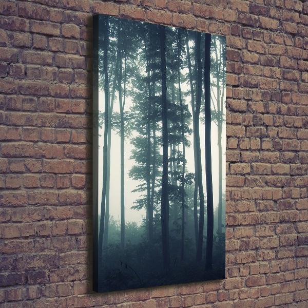 Large canvas wall art Fog in the forest