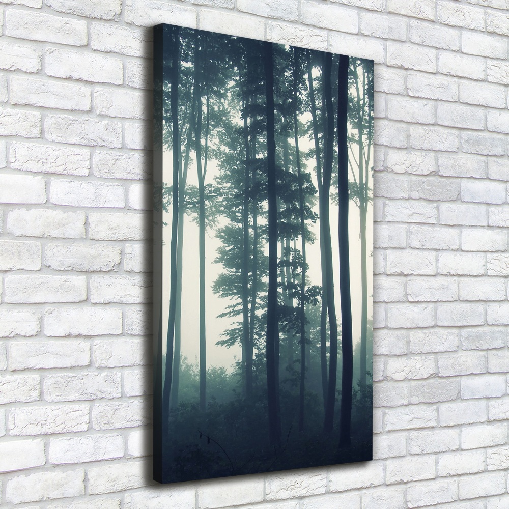 Large canvas wall art Fog in the forest