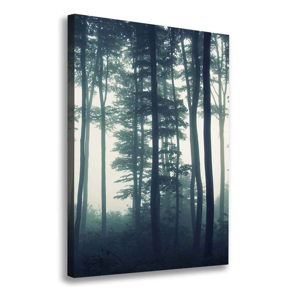 Large canvas wall art Fog in the forest