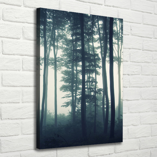 Large canvas wall art Fog in the forest