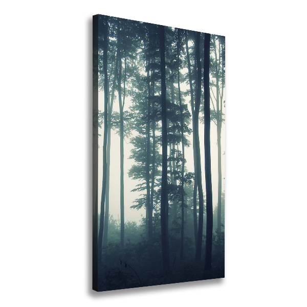 Large canvas wall art Fog in the forest