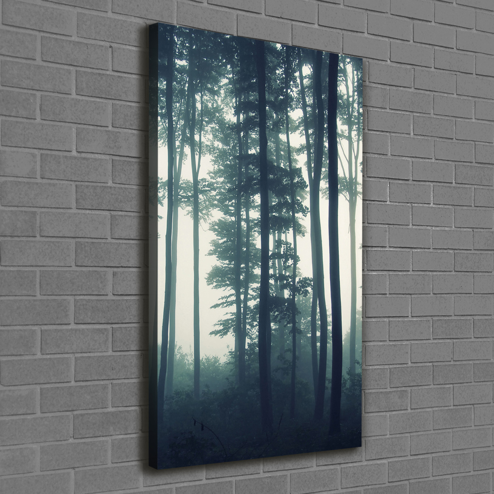 Large canvas wall art Fog in the forest