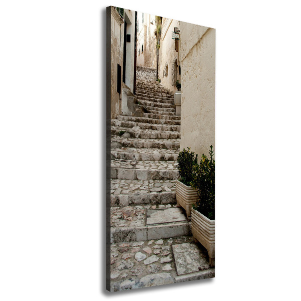 Picture canvas print Charming street