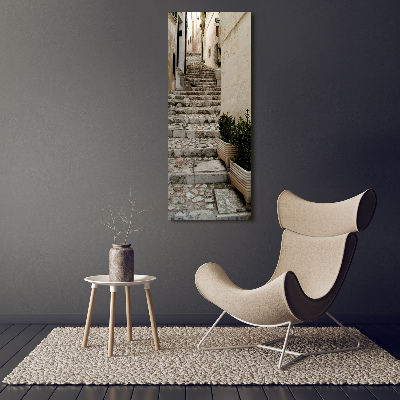 Picture canvas print Charming street