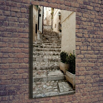 Picture canvas print Charming street