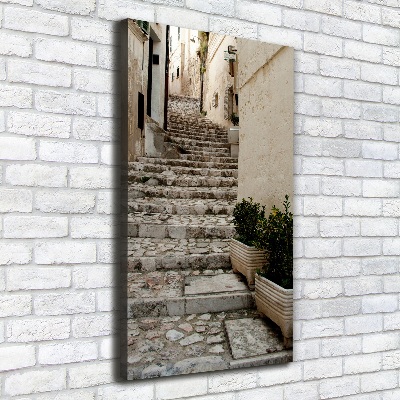 Picture canvas print Charming street