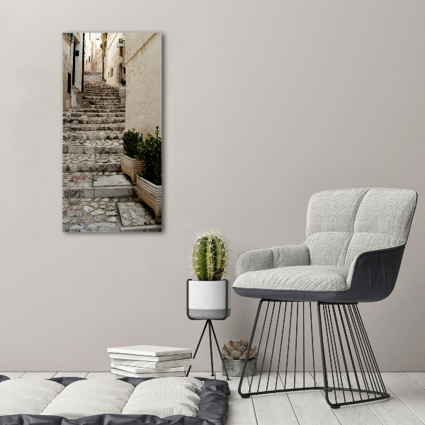 Picture canvas print Charming street