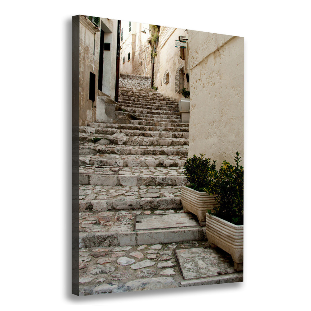 Picture canvas print Charming street