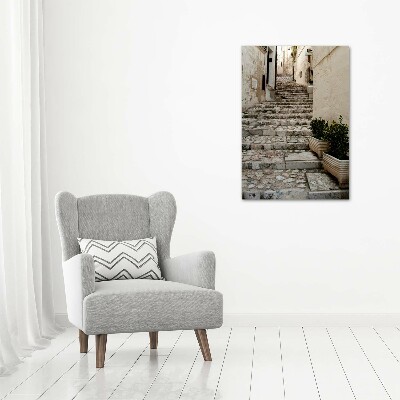 Picture canvas print Charming street