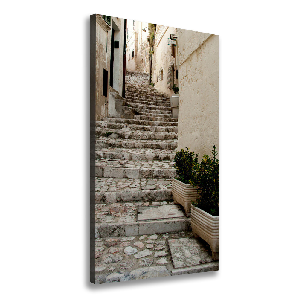 Picture canvas print Charming street