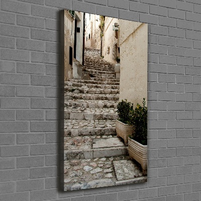 Picture canvas print Charming street