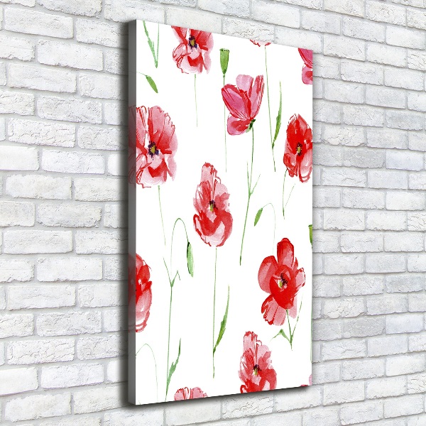 Canvas print Macs