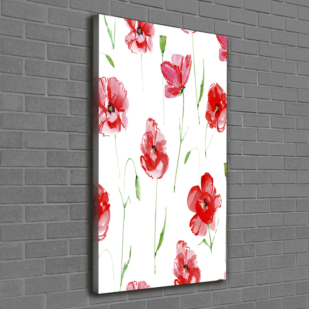 Canvas print Macs