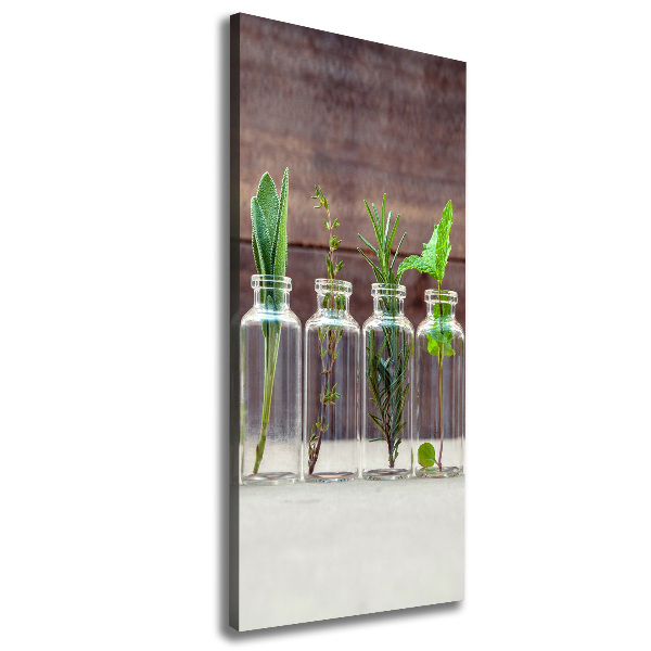 Canvas wall art Herbs in jars