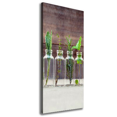 Canvas wall art Herbs in jars