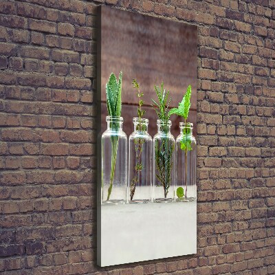 Canvas wall art Herbs in jars