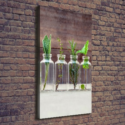 Canvas wall art Herbs in jars