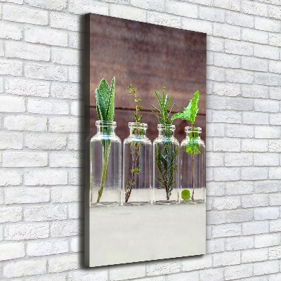 Canvas wall art Herbs in jars