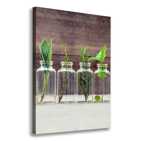 Canvas wall art Herbs in jars