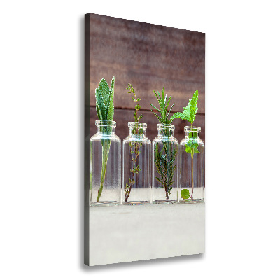 Canvas wall art Herbs in jars