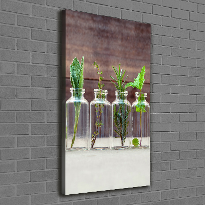 Canvas wall art Herbs in jars