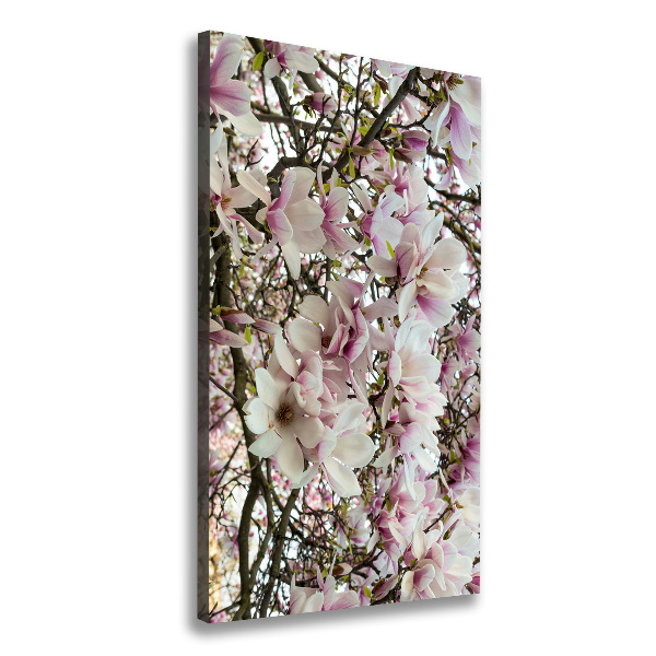 Large canvas wall art Magnolia flowers