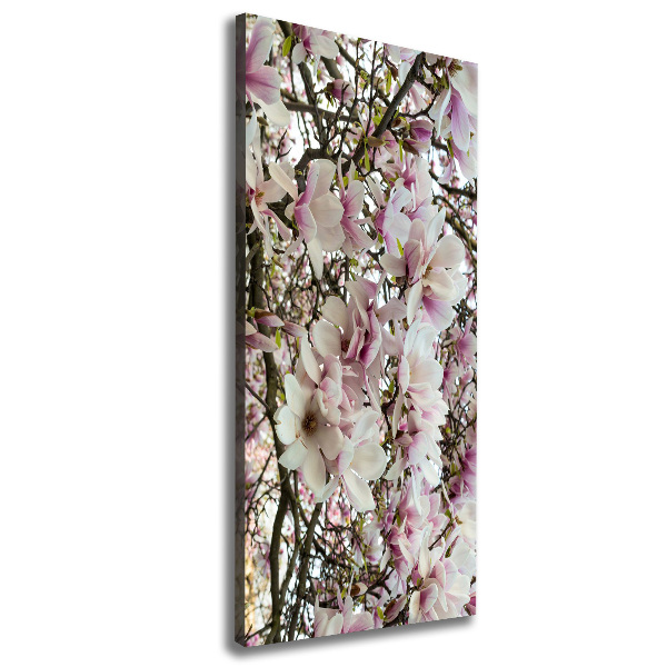 Large canvas wall art Magnolia flowers