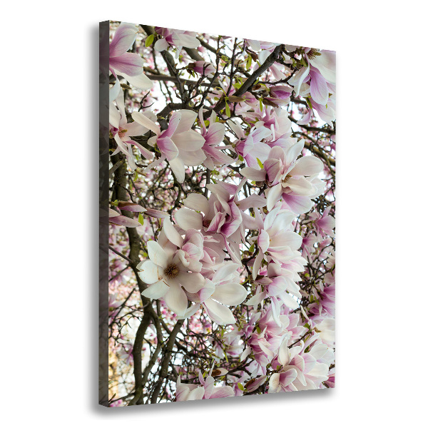 Large canvas wall art Magnolia flowers