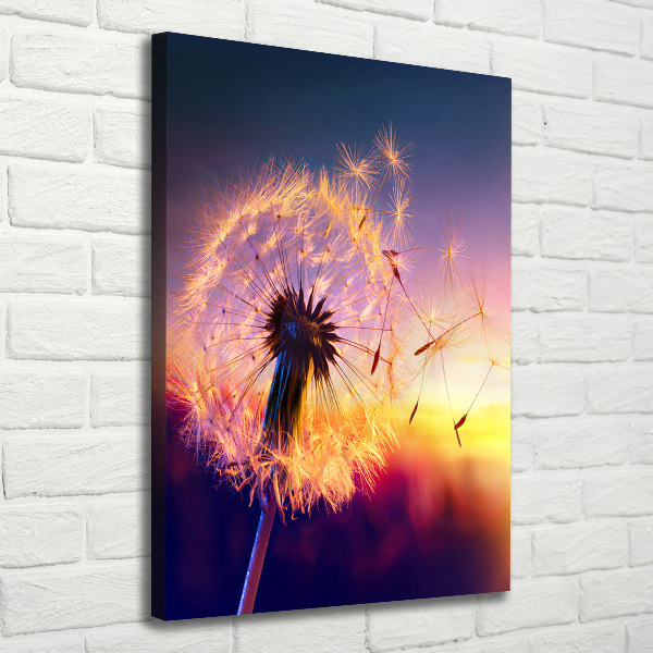 Large canvas wall art Dandelion