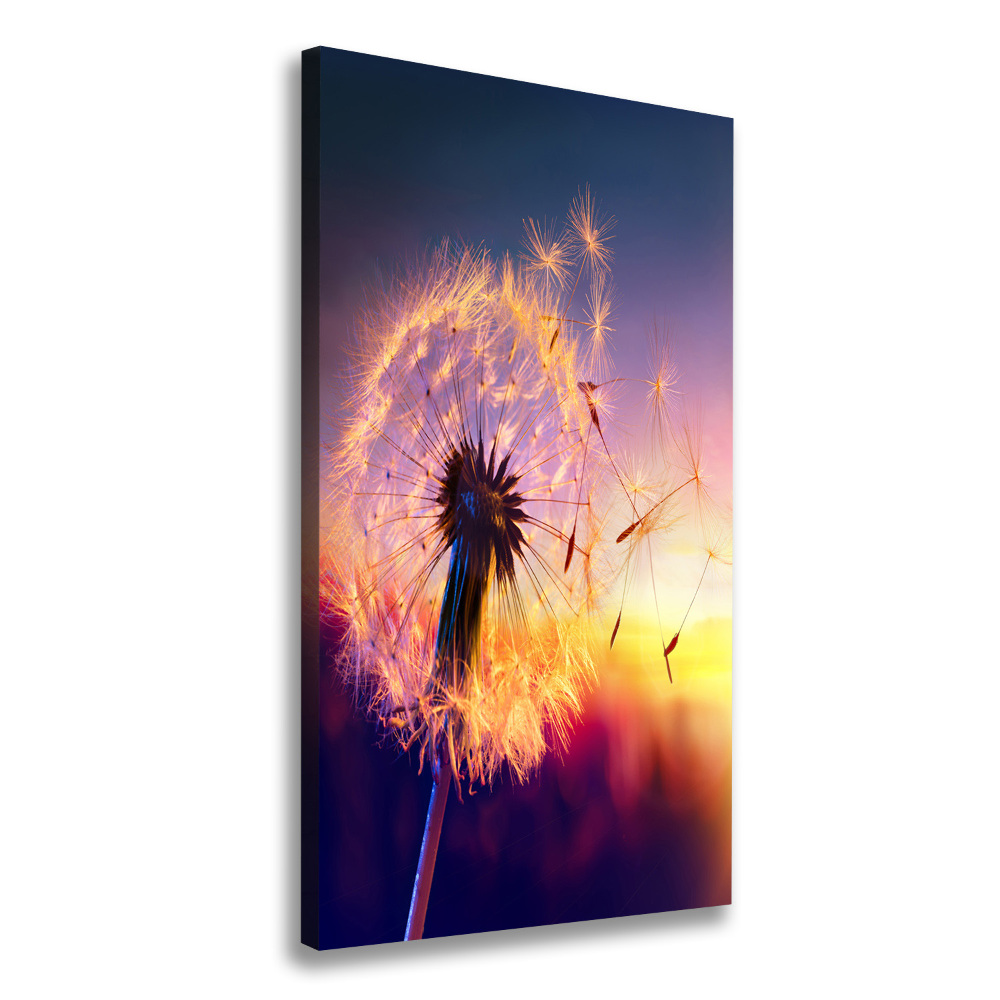 Large canvas wall art Dandelion