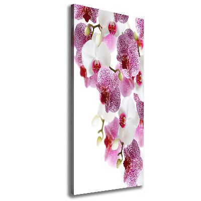 Canvas print Orchid