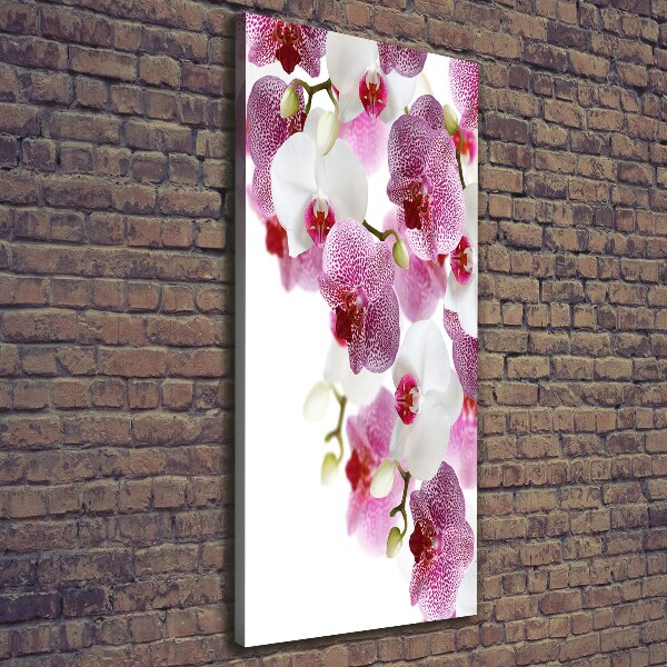 Canvas print Orchid