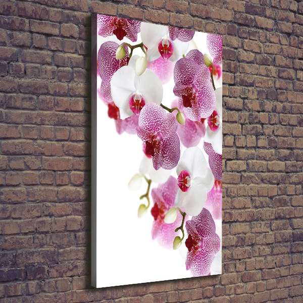 Canvas print Orchid