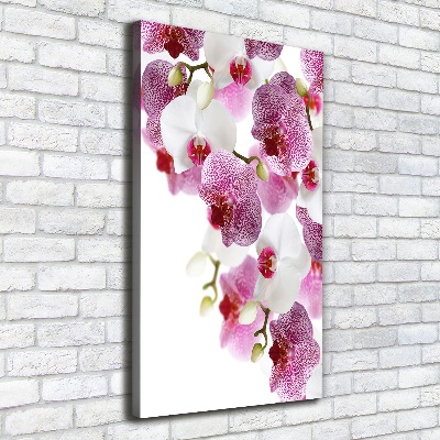 Canvas print Orchid