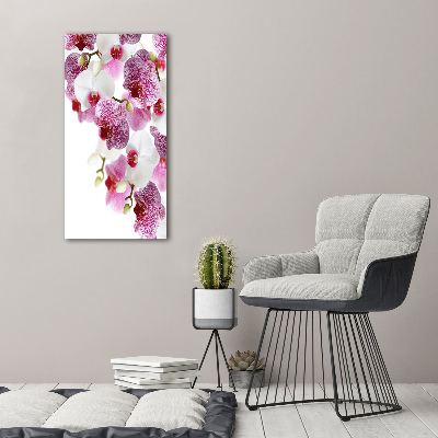 Canvas print Orchid