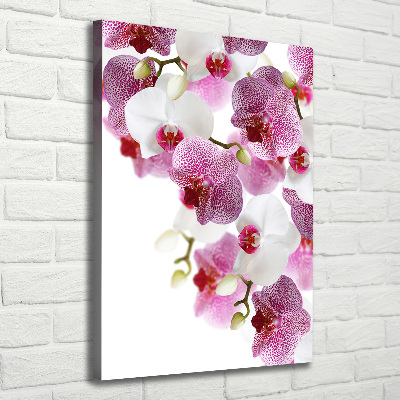 Canvas print Orchid