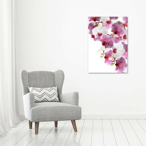 Canvas print Orchid