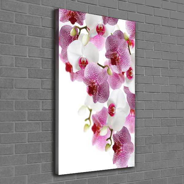 Canvas print Orchid