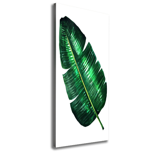 Canvas print Banana leaf