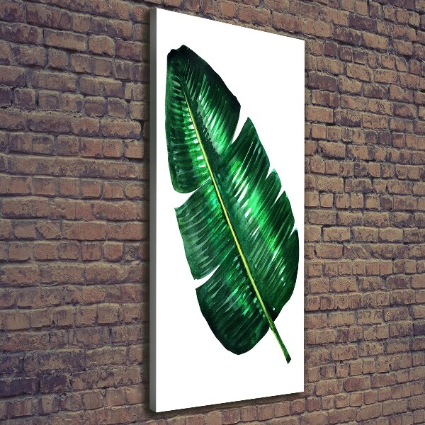 Canvas print Banana leaf